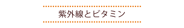 デング熱